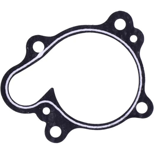 Water Pump Cover Gasket Original Spare Part 7347402