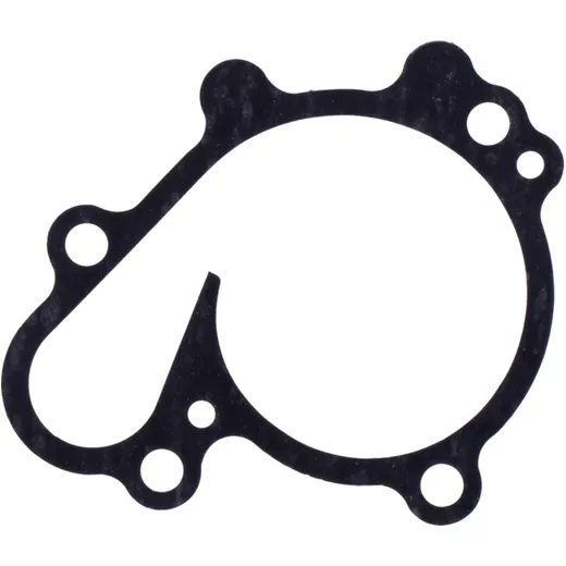 Water Pump Cover Gasket OEM Spare Part 7347406