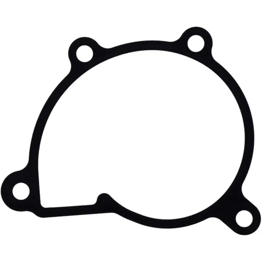 Water Pump Cover Gasket Original Spare Part 7347413
