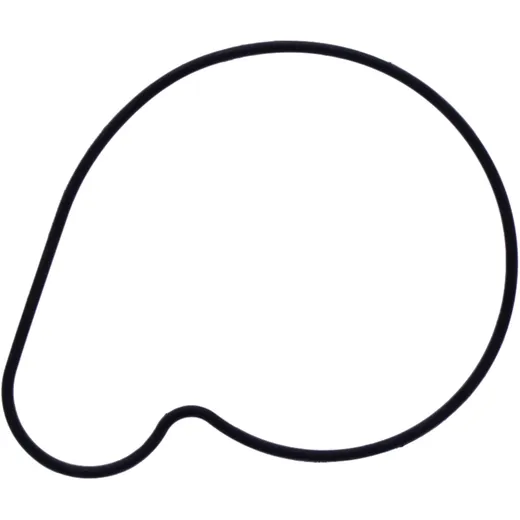 Water Pump Cover Gasket Original Spare Part 7347424