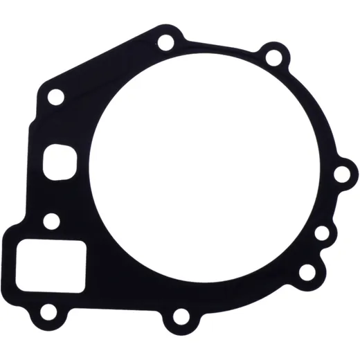 Water pump cover gasket (OE spare part) for: BMW F (900, 850, 750, 800)