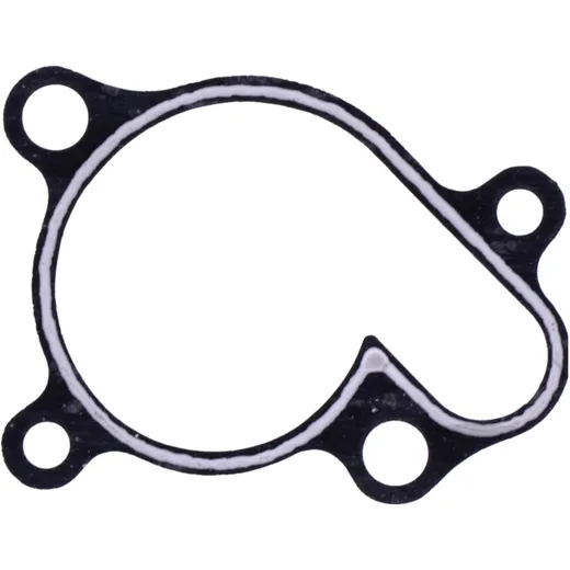 Water Pump Cover Gasket for Motorcycles 7347449