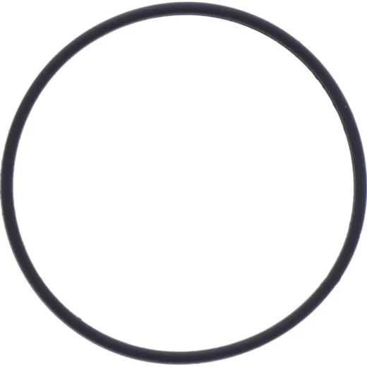 O-Ring 54X58.5X2 mm Originalersatzteil