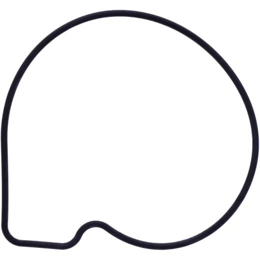 Water Pump Cover Gasket Original Spare Part for Motorcycles 7347508