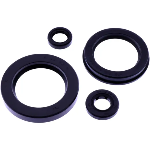OIL SEAL KIT TOURMAX for Motorcycles