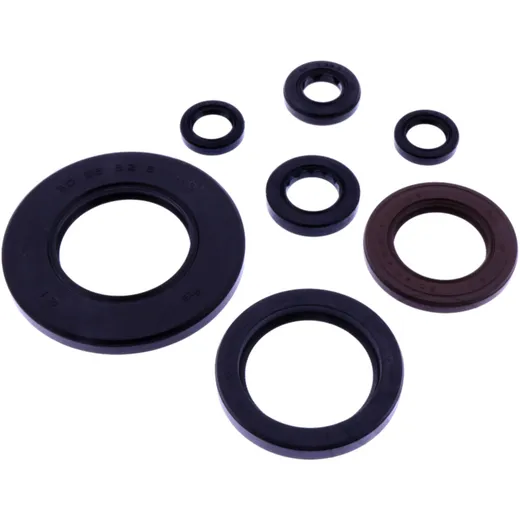 Oil Seal Kit for Brake Drum Tourmax