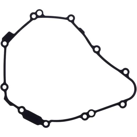 Lichtmaschinendeckeldichtung für Motorräder 7348459