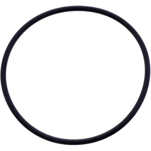 O - Ring 2X99MM Originalersatzteil passend für: BMW R