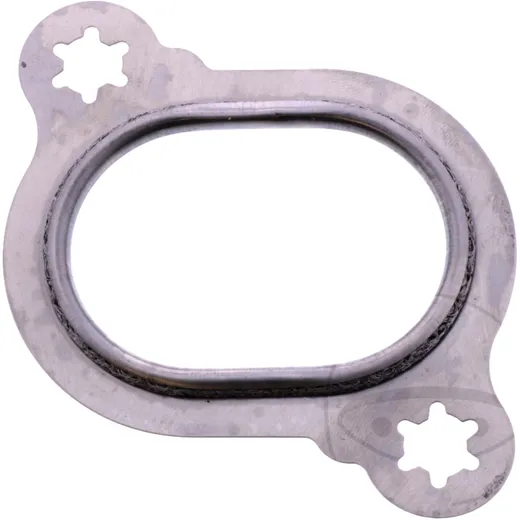 Krümmerdichtung für Motorräder 50X69X4MM