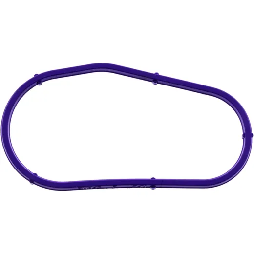 Thermostat seal (OE spare part) for: BMW F (900, 850, 750)