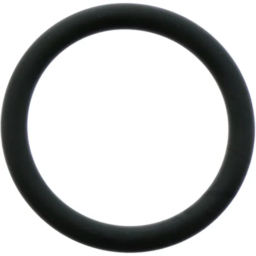 O - Ring 3. 1X22. 7 mm Originalersatzteil passend für: BMW G