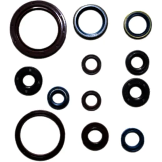 Engine oil seal kit for: Aprilia RXV, SXV