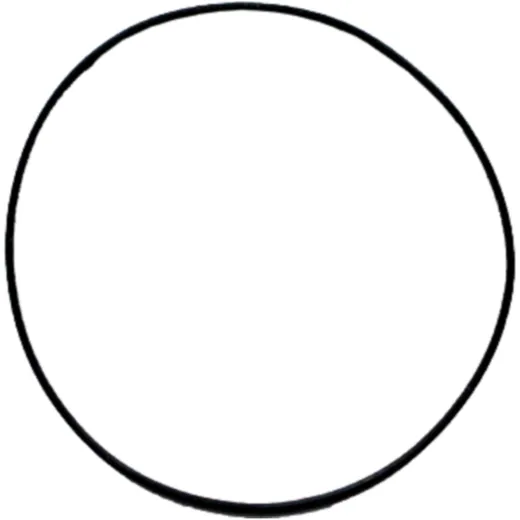 O - Ring 2X100MM Athena passend für: Kawasaki KVF, KFX
