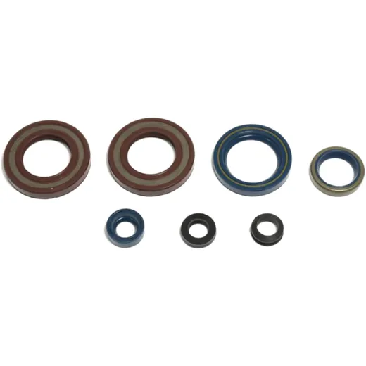 Engine Oil Seal Kit for Motorcycles 7355761