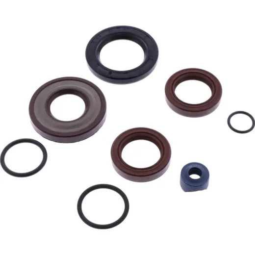 Shaft seal set athena P400480400053