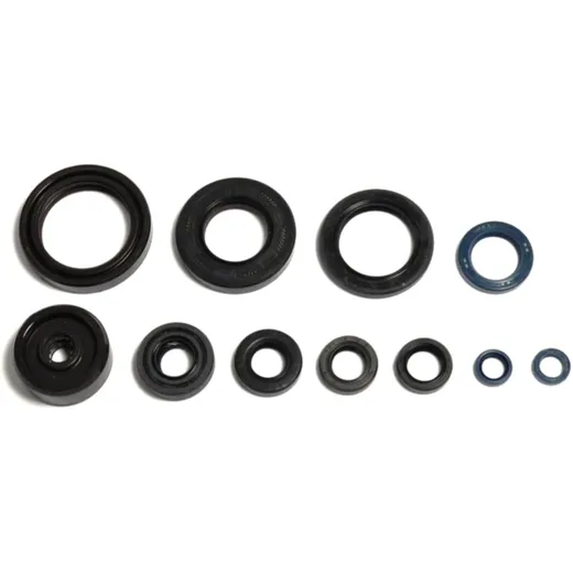 Wellendichtring Satz für Motoren 7356322
