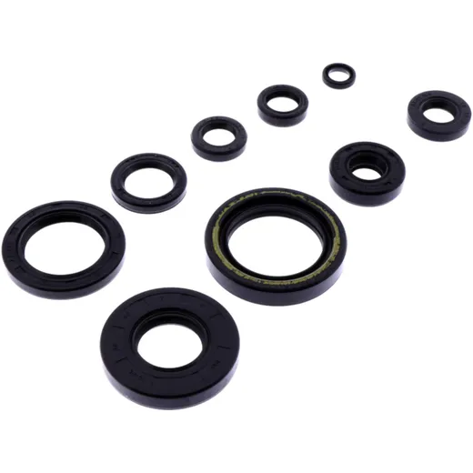 OIL SEAL KIT for Motorcycles 7356355