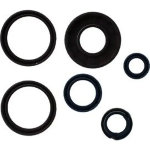 Engine oil seal kit P400220400252