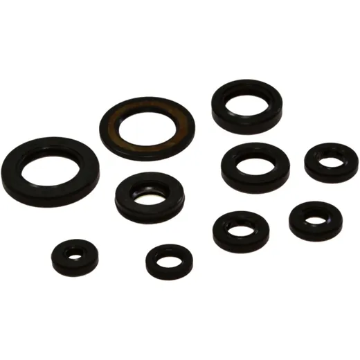 ENGINE OIL SEAL KIT for Tourmax