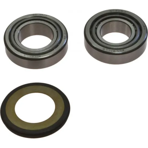 Headstock bearing kit 221056