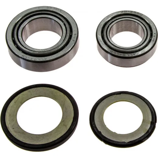 Headstock bearing kit 221020