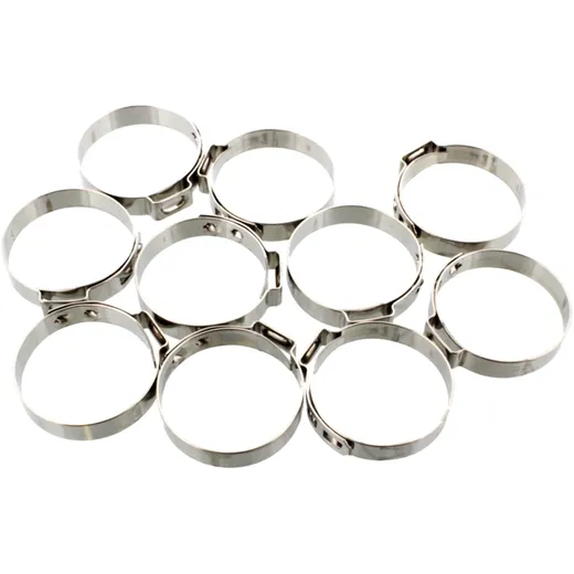 Stainless Steel Band Clamps 31.2 JMP, Width 7mm, 10 PCS