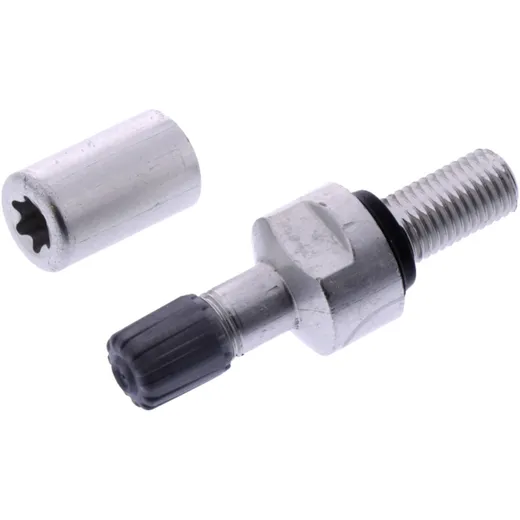Valve Straight Schrader for TPMS 11.5mm Silver
