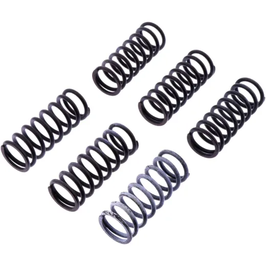Reinforced Clutch Spring Kit TRW 6 PCS 7380526