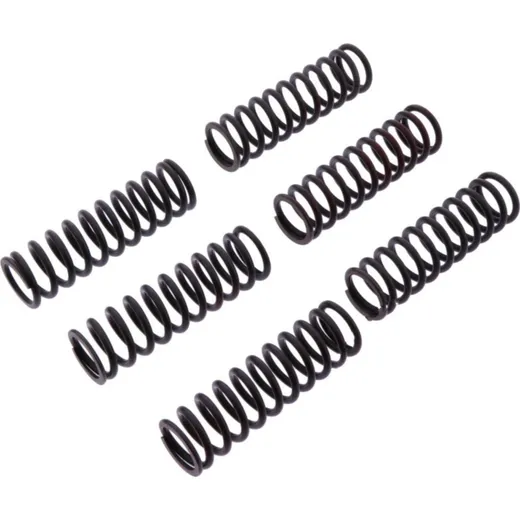 Clutch spring kit reinforced trw MEF3066