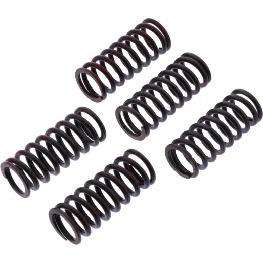 Clutch spring kit reinforced trw MEF3045