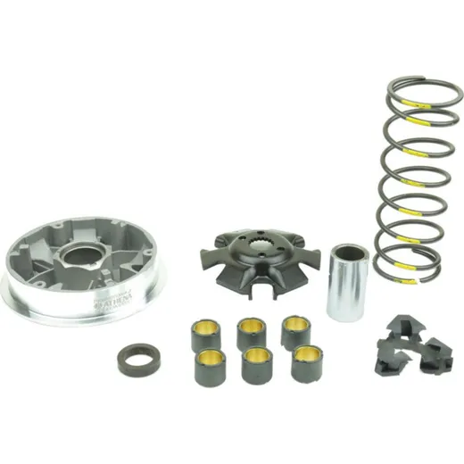 Variomatik tuning Athena P400510110004
