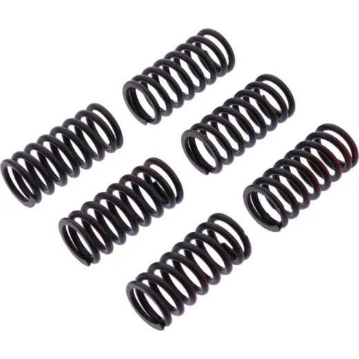 Clutch spring kit reinforced trw MEF3286