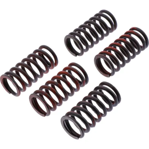 Clutch spring kit reinforced trw MEF3175