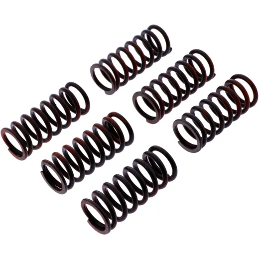 Kupplungsfeder-Kit verstärkt TRW für Motorräder 7380655