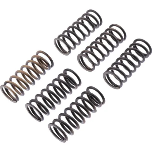 Clutch spring kit reinforced trw MEF3396
