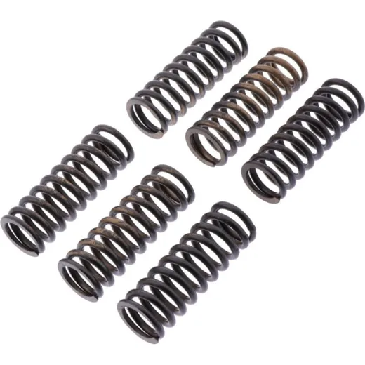 Clutch spring kit reinforced trw MEF3406