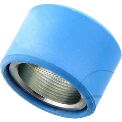 Roller weight 21. 0G (OE spare part) 25X17mm cont 1 pcs for: Gilera Fuoco, Nexus
