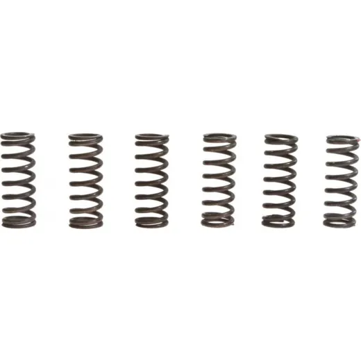 Clutch spring kit (6) MEF1576