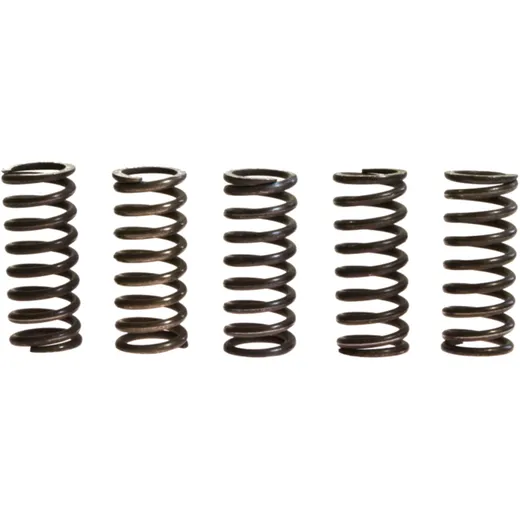 Clutch spring kit (5) TRW/lucas for: Triumph Sprint, Tiger, Speed Triple