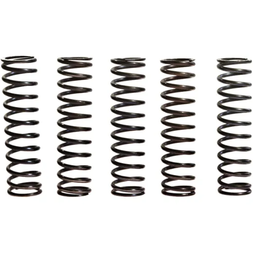 Clutch spring kit (5) TRW/lucas for: Kawasaki Z, ZX - 9R