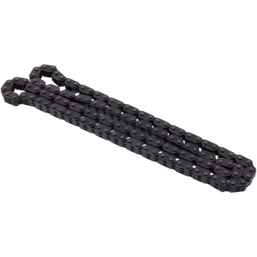 Cam chain endless BORG WARNER morse 98xrh2010/120 for: BMW F (900, 850, 750)