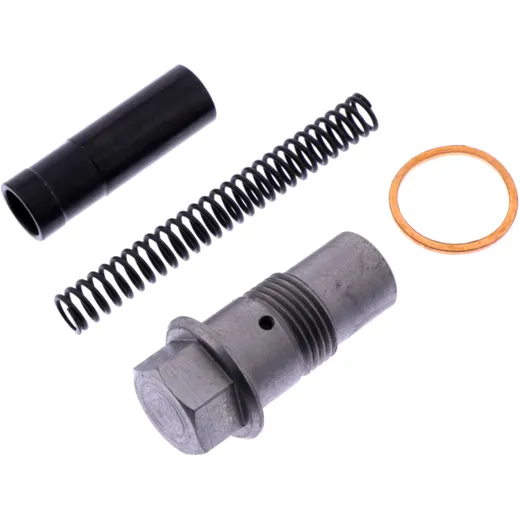 Cam chain tensioner kit (OE spare part) for: BMW R