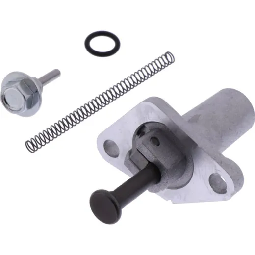 Steuerkettenspanner Originalersatzteil 1013846