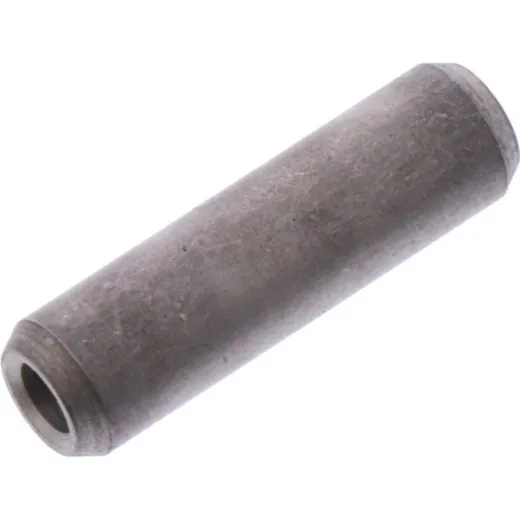 Can chain tensioner pivot 1083172