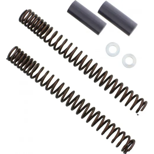 Fork springs 1218(2090)