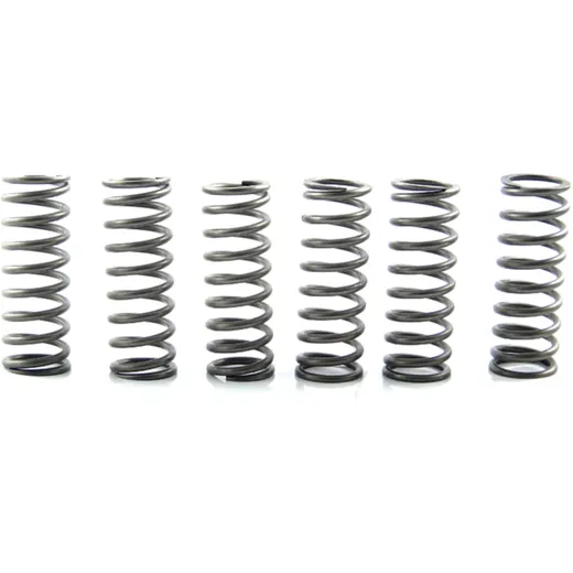EBC Reinforced Clutch Spring Set (6 Pieces)