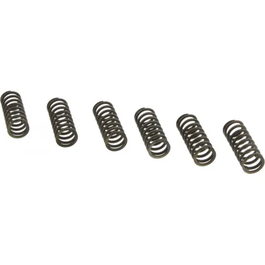 Clutch spring kit (6) CSK053
