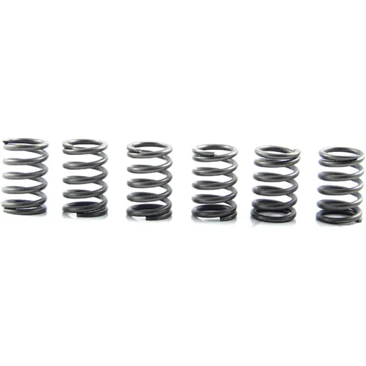 Kupplungsfeder-Kit verstärkt EBC (6 Stück) 7450077
