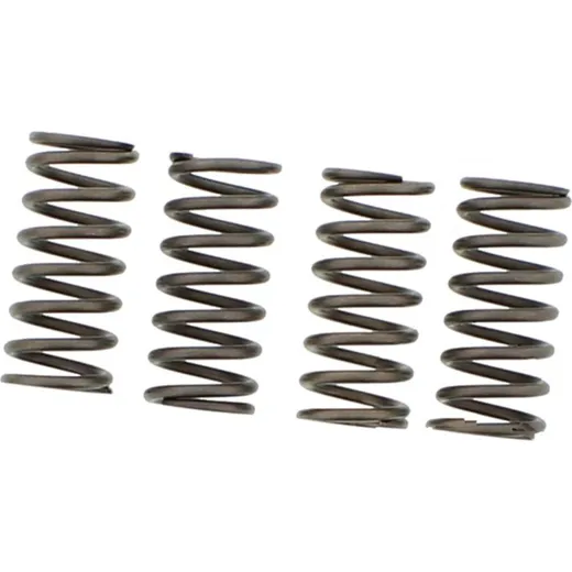 Ebc clutch spring set CSK153