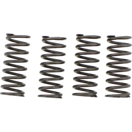 Ebc clutch spring set CSK154